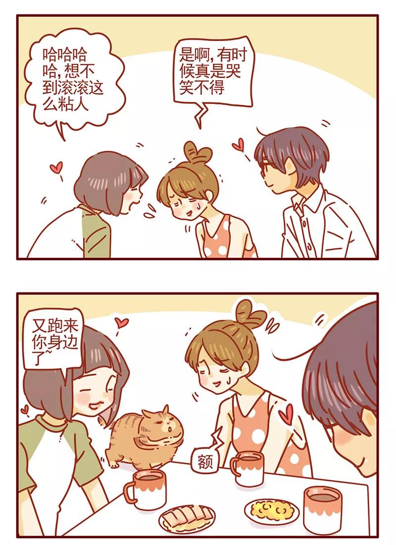 我只是一只小猫咪 第35话 第10页