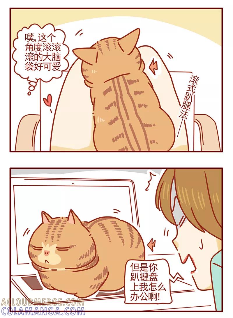 我只是一只小猫咪 第35话 第7页