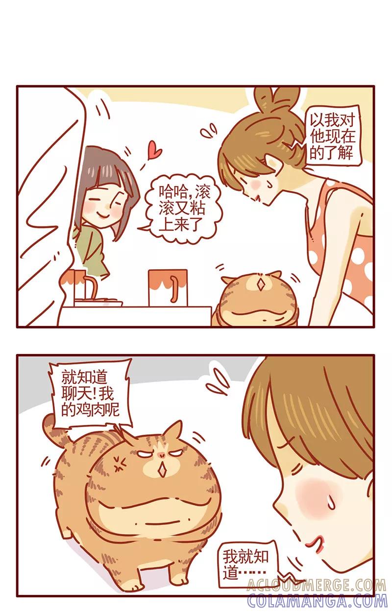 我只是一只小猫咪 第35话 第11页