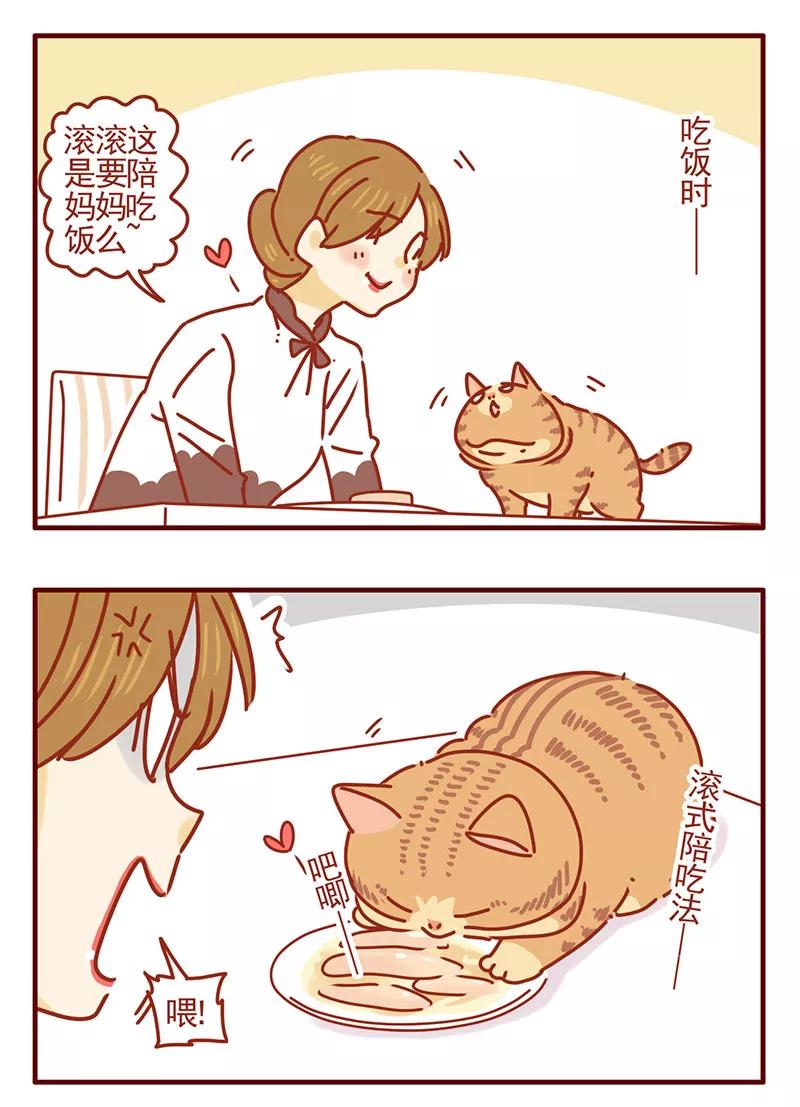 我只是一只小猫咪 第35话 第8页