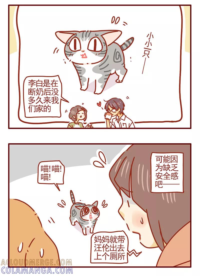 我只是一只小猫咪 第35话 第13页