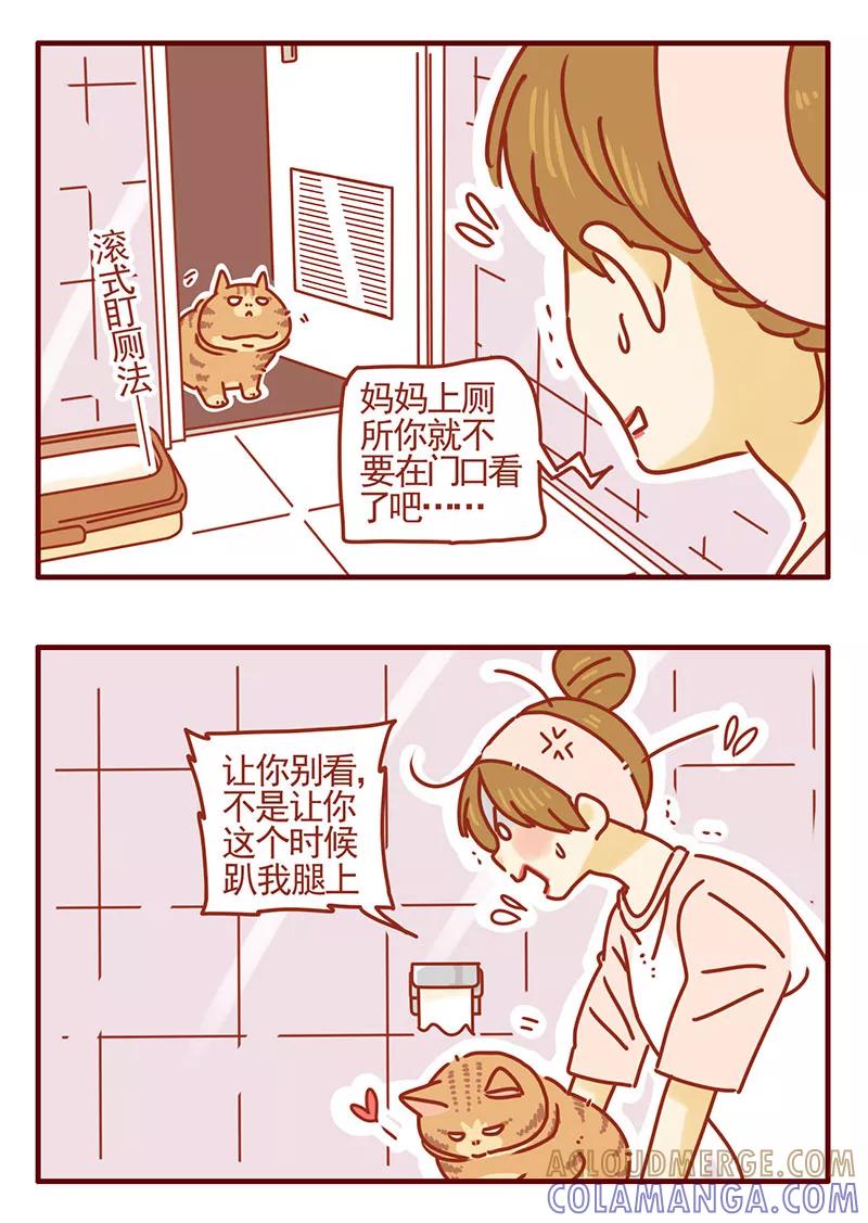 我只是一只小猫咪 第35话 第9页