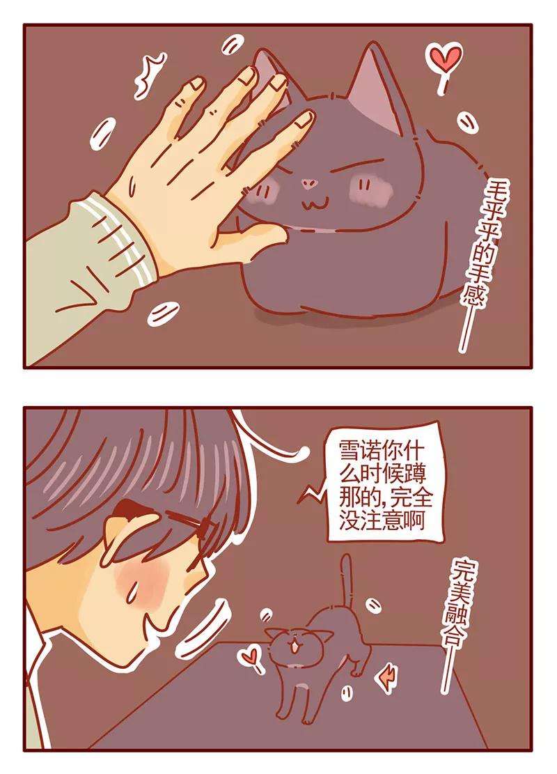 我只是一只小猫咪 第36话 第12页