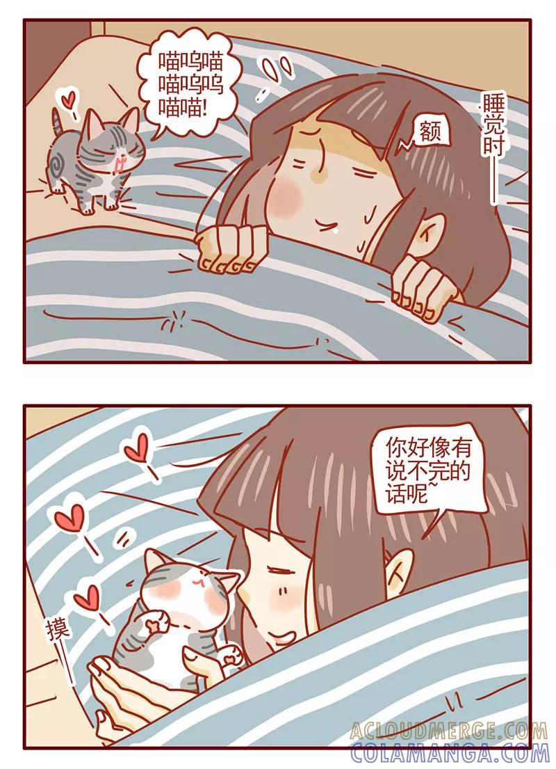 我只是一只小猫咪 第36话 第3页