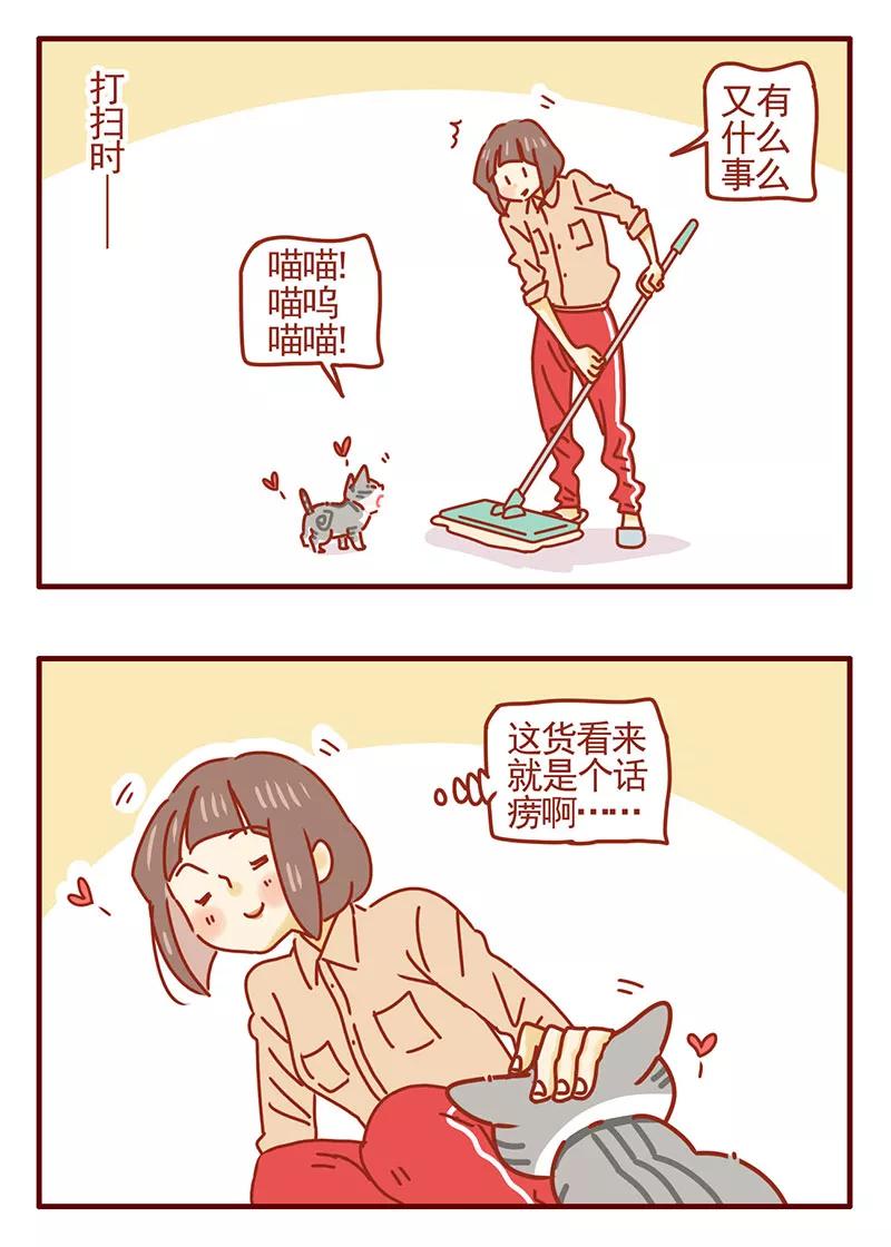 我只是一只小猫咪 第36话 第4页