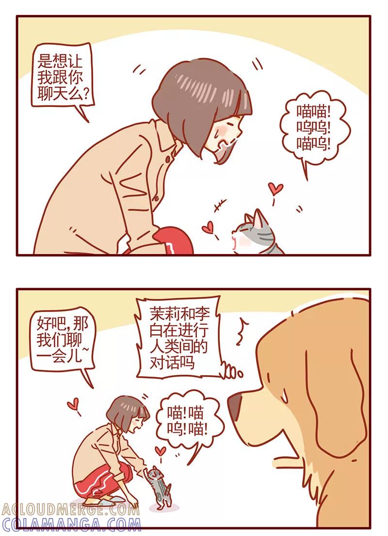 我只是一只小猫咪 第36话 第5页