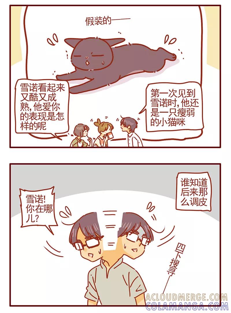 我只是一只小猫咪 第36话 第7页