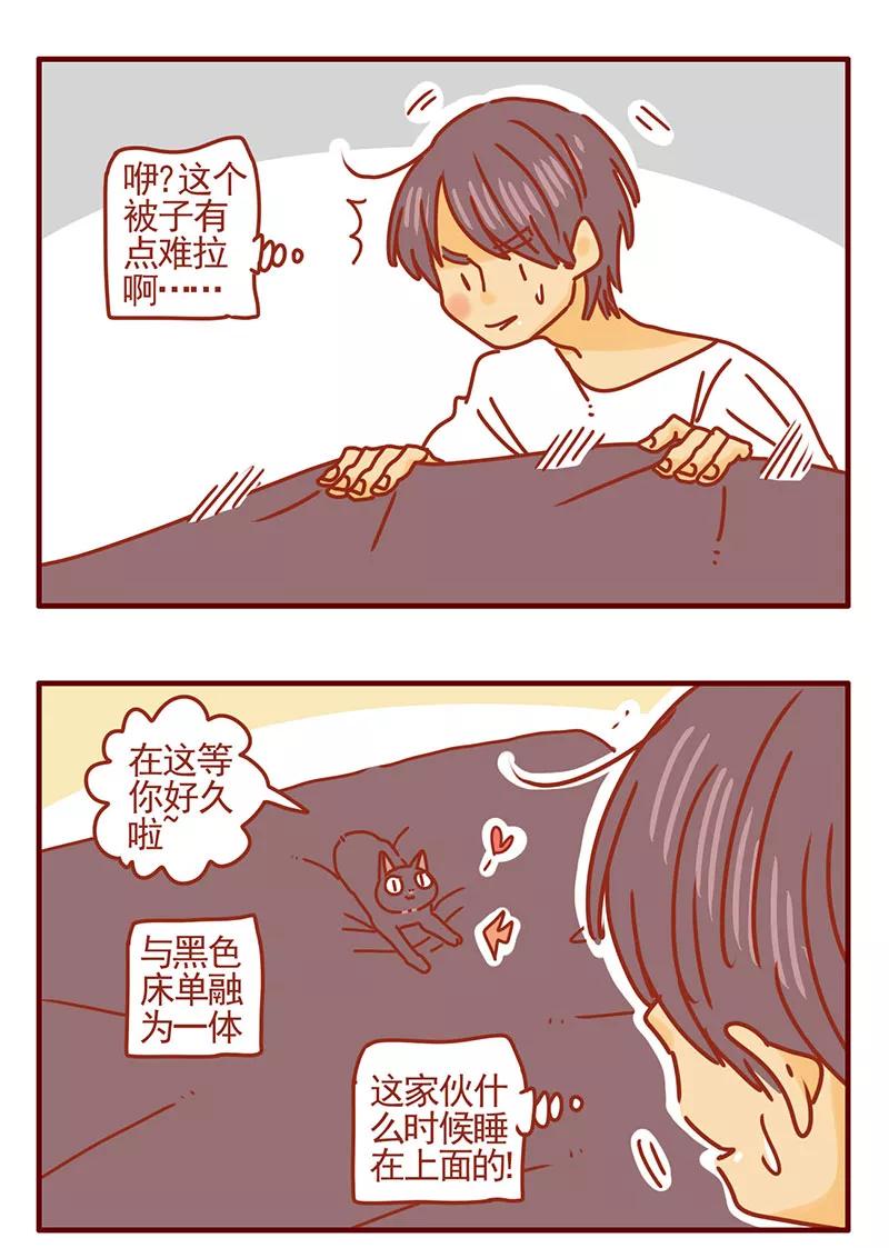 我只是一只小猫咪 第36话 第10页