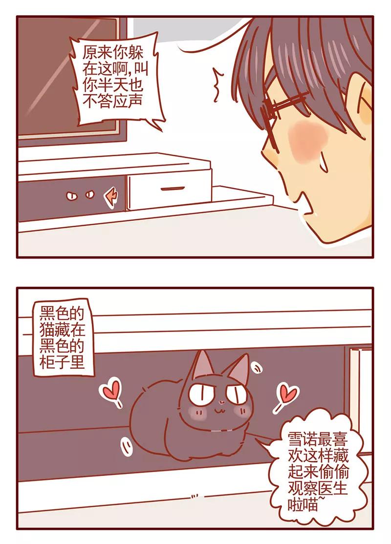 我只是一只小猫咪 第36话 第8页