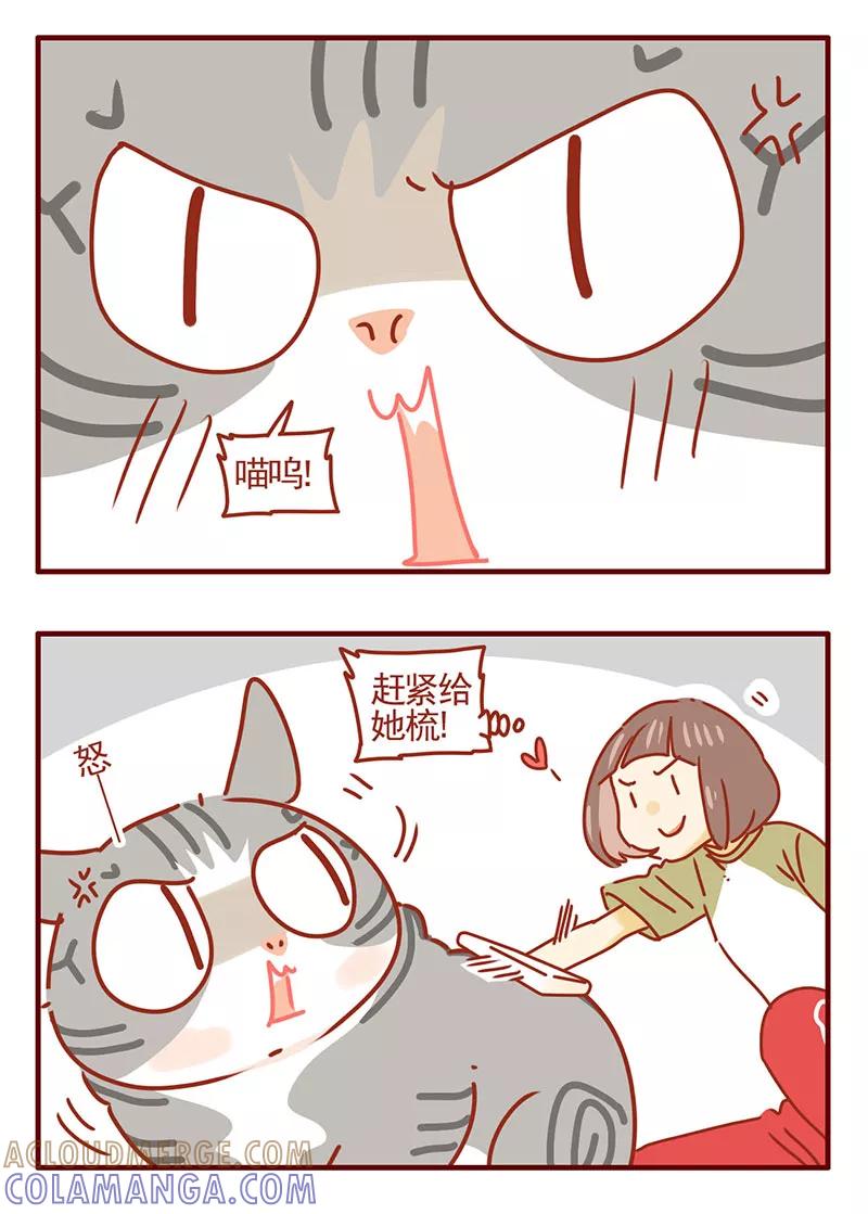 我只是一只小猫咪 第37话 第7页
