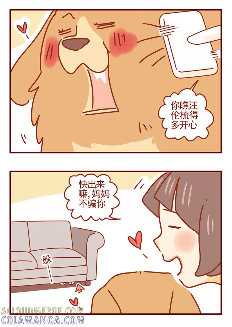 我只是一只小猫咪 第37话 第9页