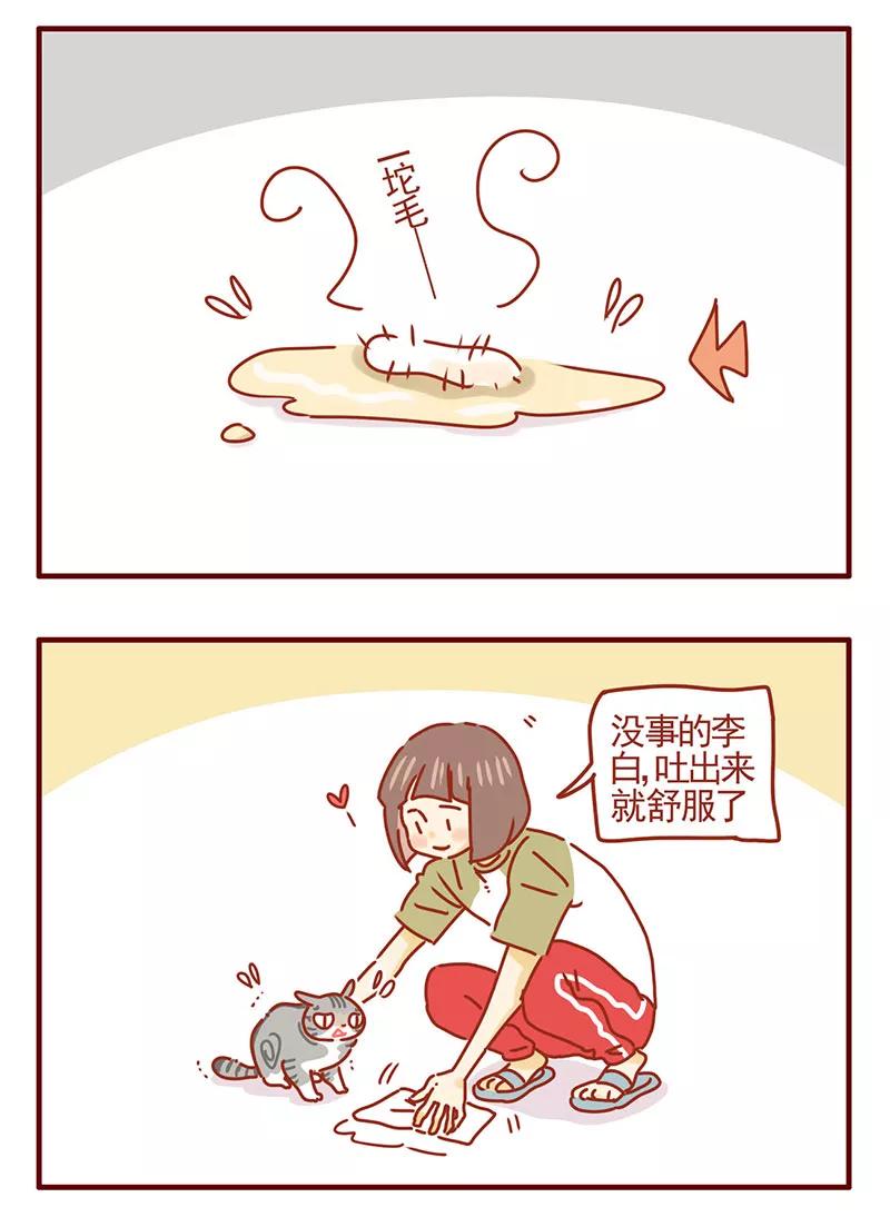 我只是一只小猫咪 第37话 第2页
