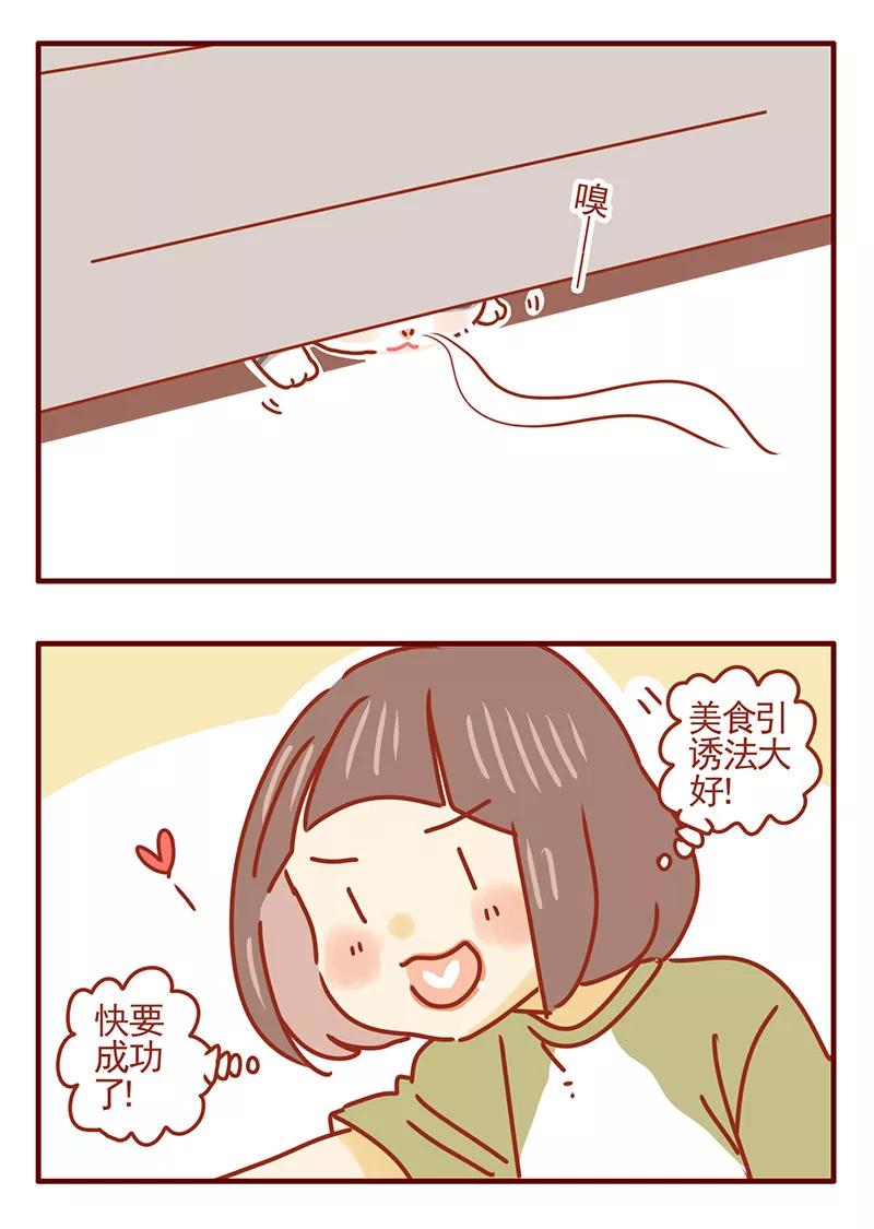 我只是一只小猫咪 第37话 第12页