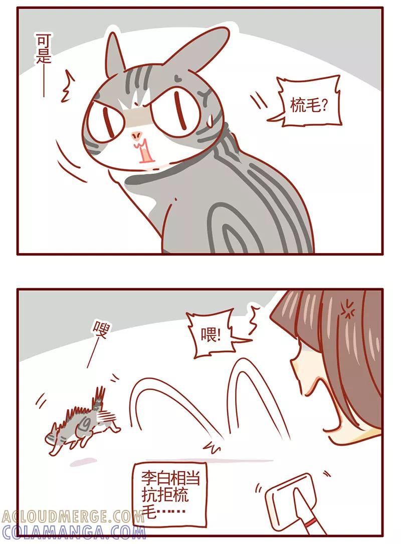 我只是一只小猫咪 第37话 第5页