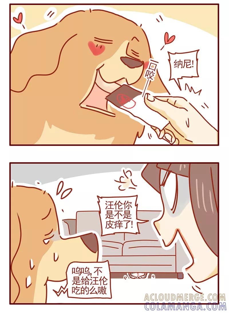 我只是一只小猫咪 第37话 第13页