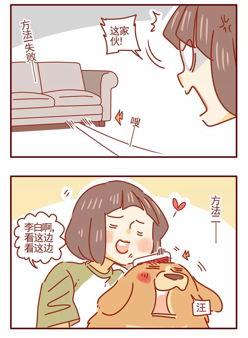 我只是一只小猫咪 第37话 第8页