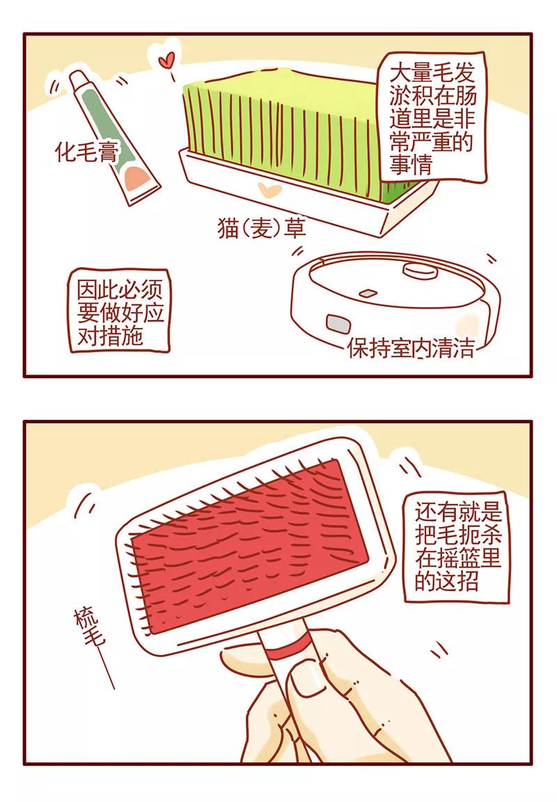 我只是一只小猫咪 第37话 第4页