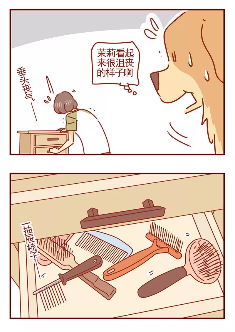 我只是一只小猫咪 第37话 第14页