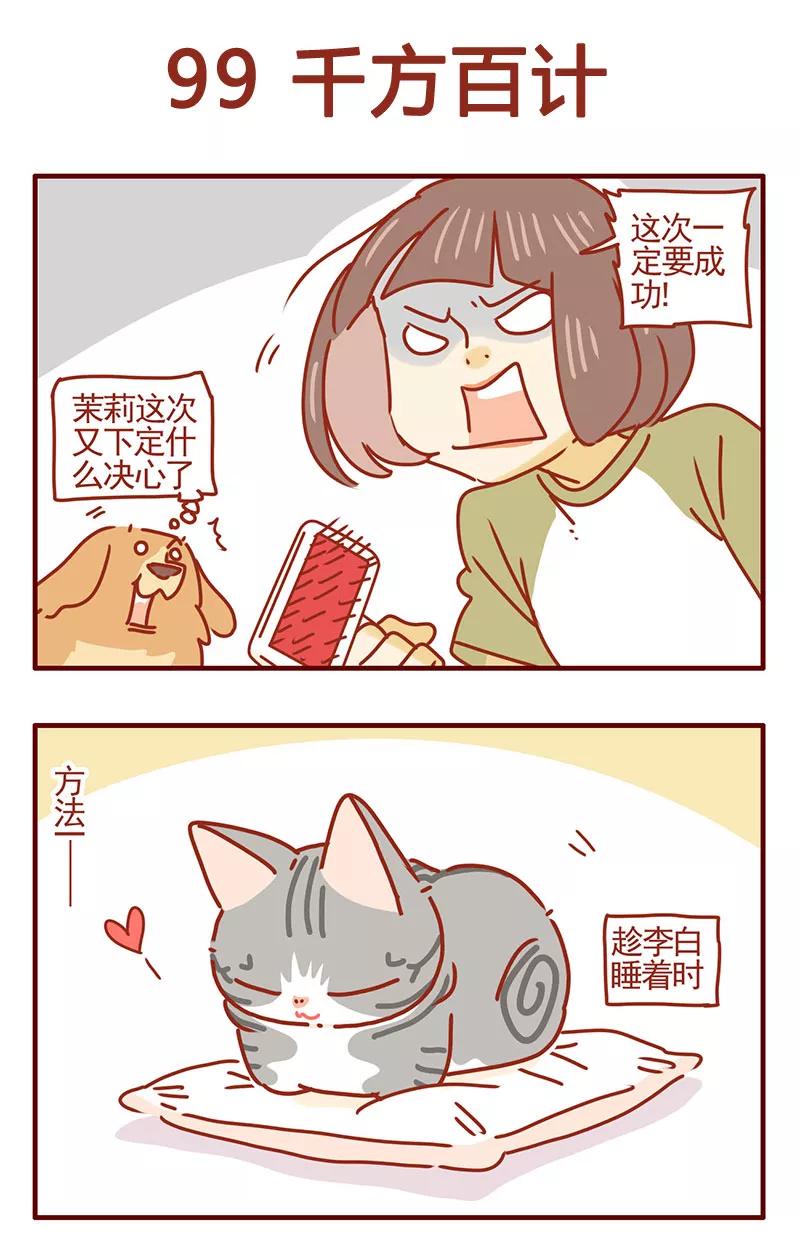 我只是一只小猫咪 第37话 第6页