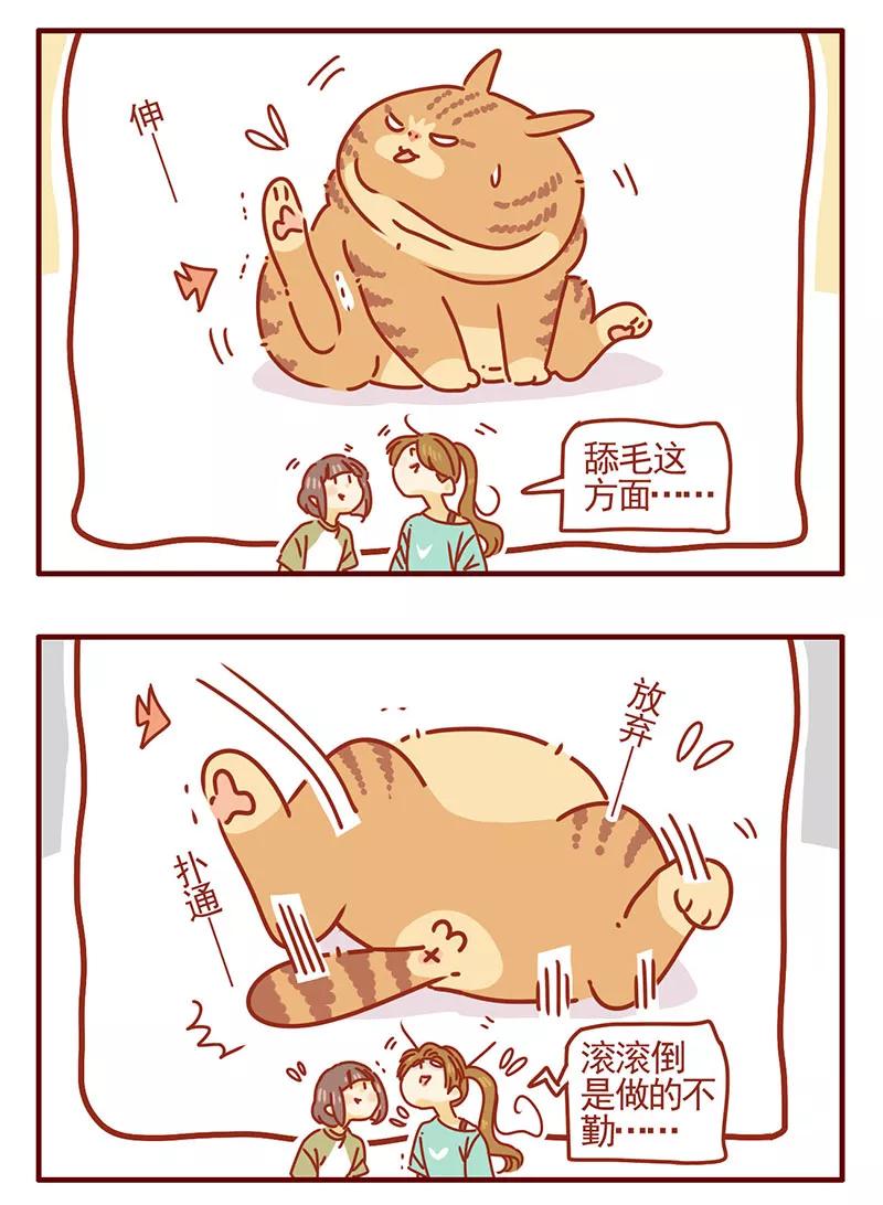 我只是一只小猫咪 第38话 第2页