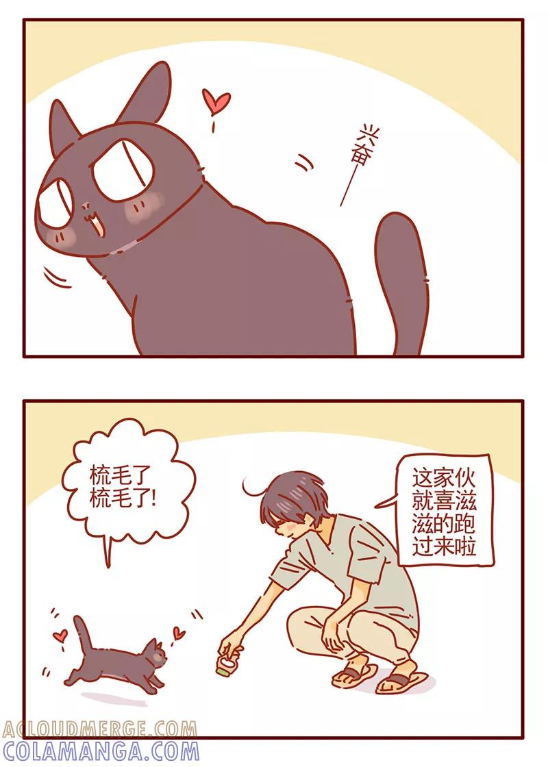 我只是一只小猫咪 第38话 第9页