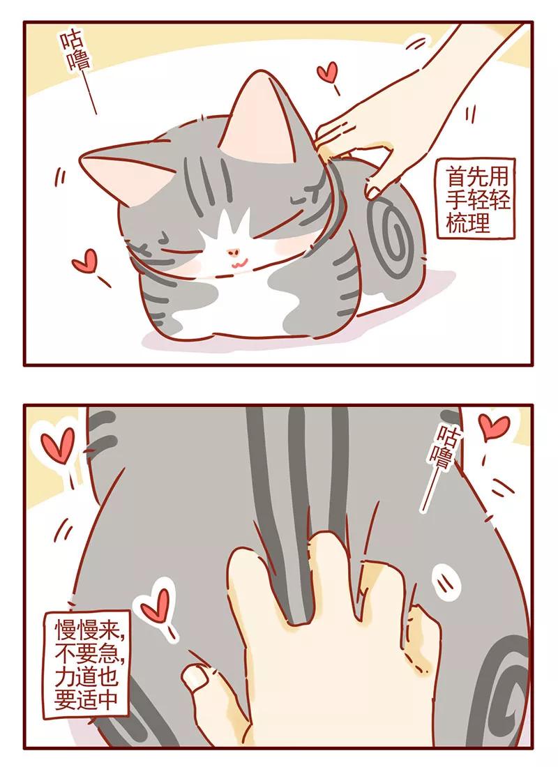 我只是一只小猫咪 第38话 第12页
