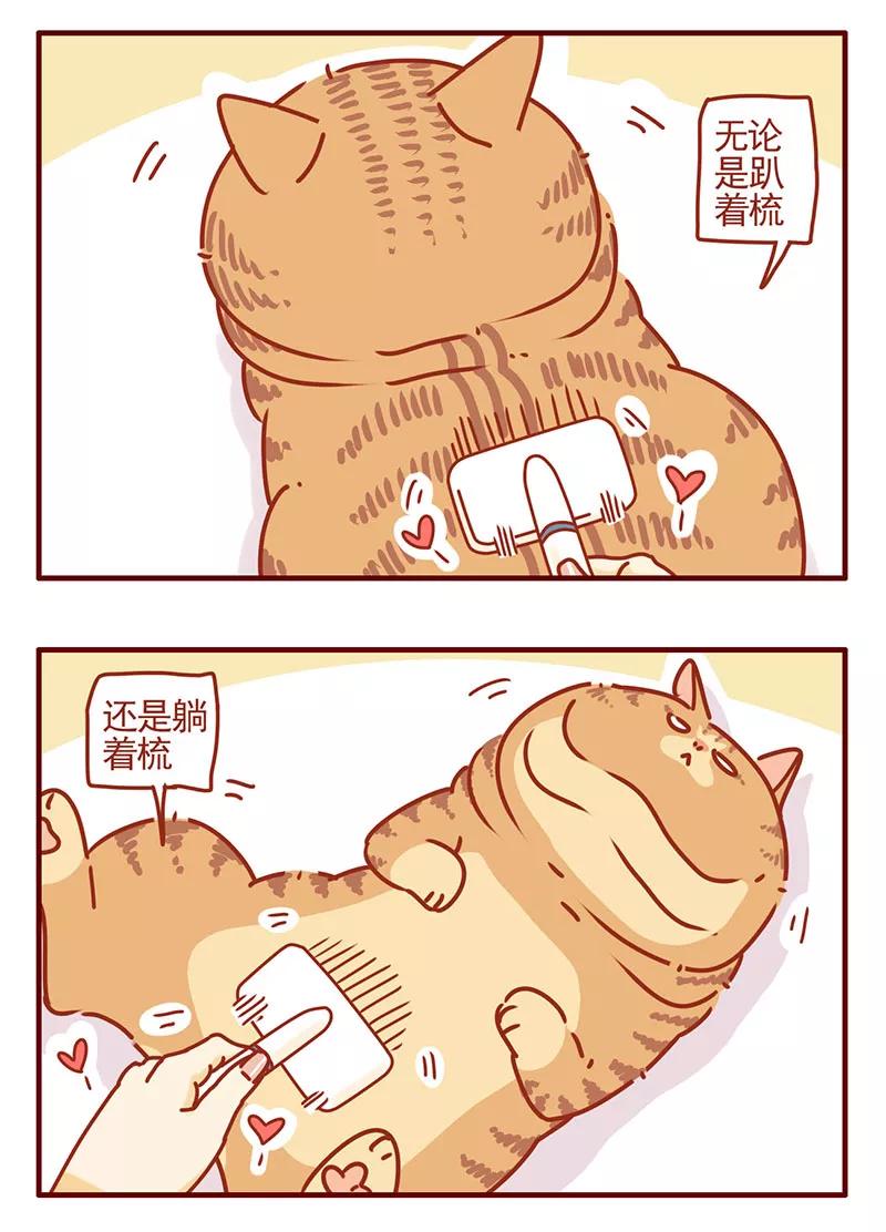 我只是一只小猫咪 第38话 第4页
