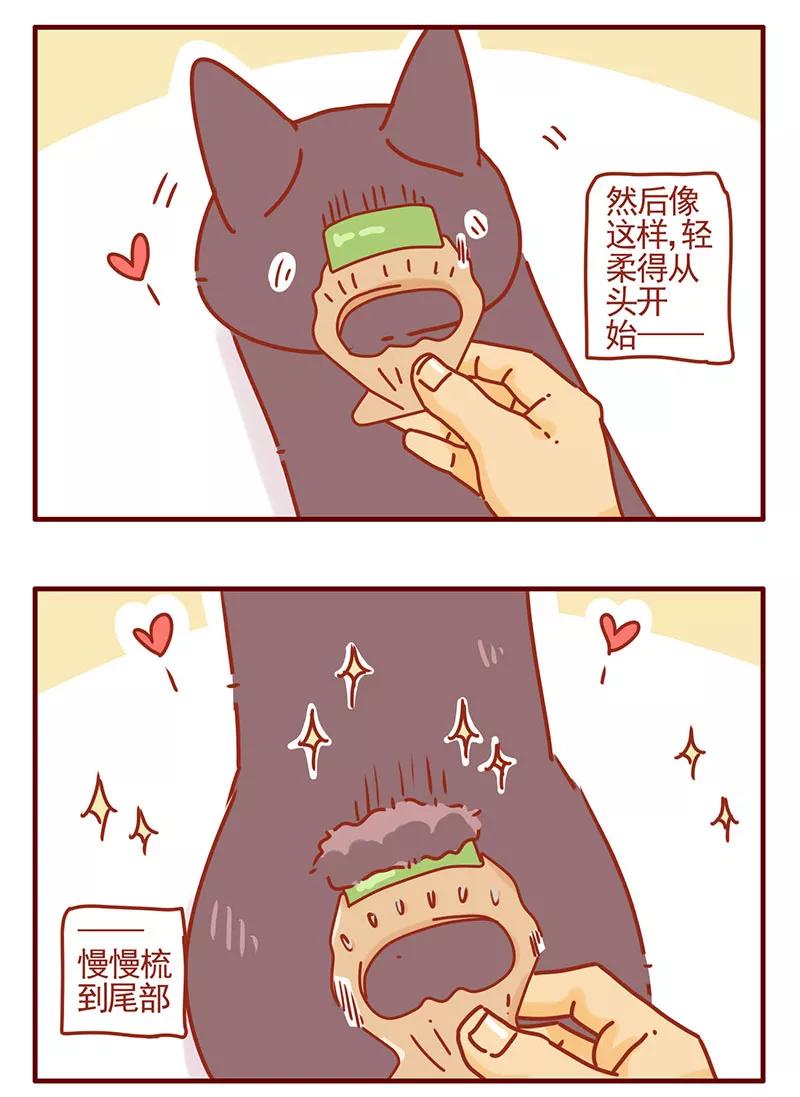 我只是一只小猫咪 第38话 第10页
