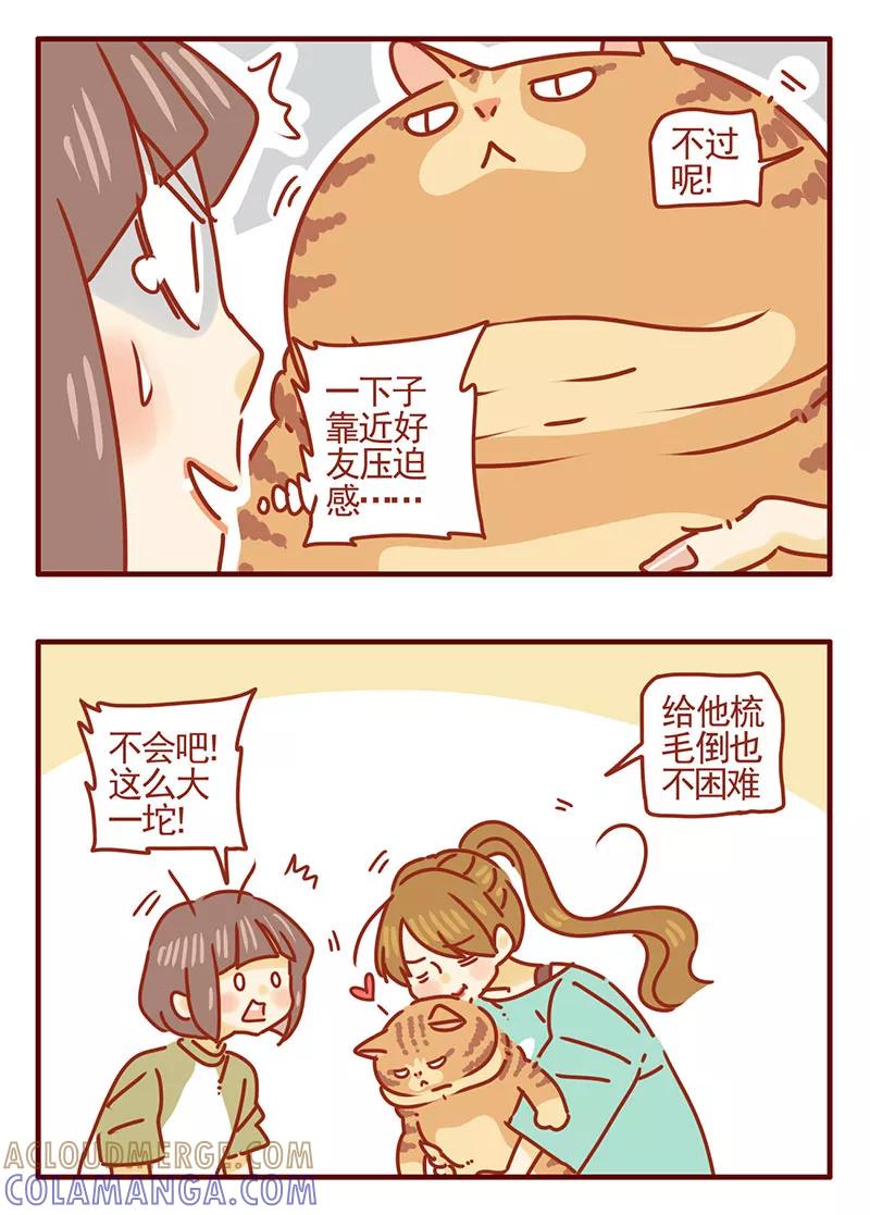 我只是一只小猫咪 第38话 第3页
