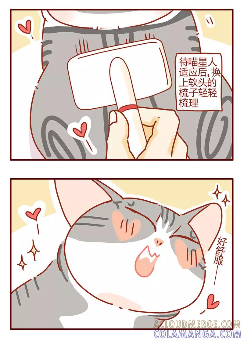 我只是一只小猫咪 第38话 第13页