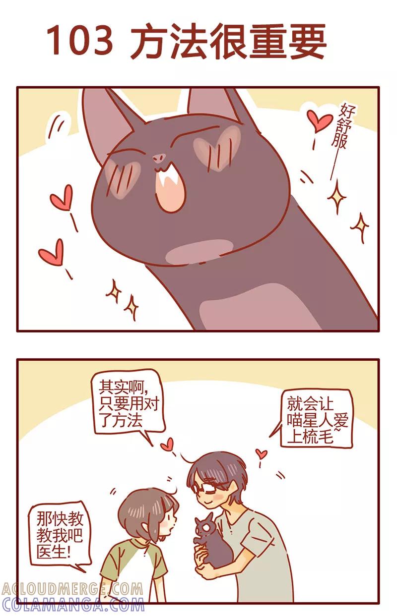 我只是一只小猫咪 第38话 第11页