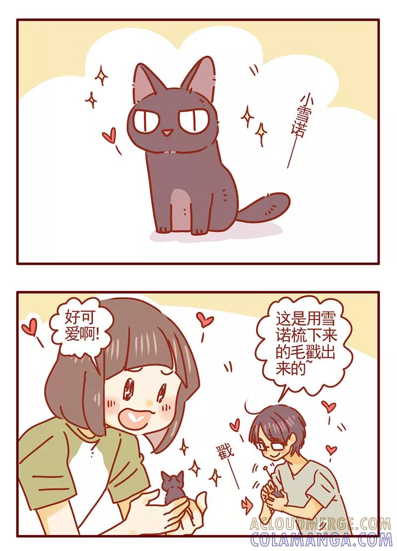 我只是一只小猫咪 第38话 第7页