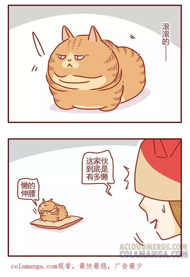 我只是一只小猫咪 第39话 第15页