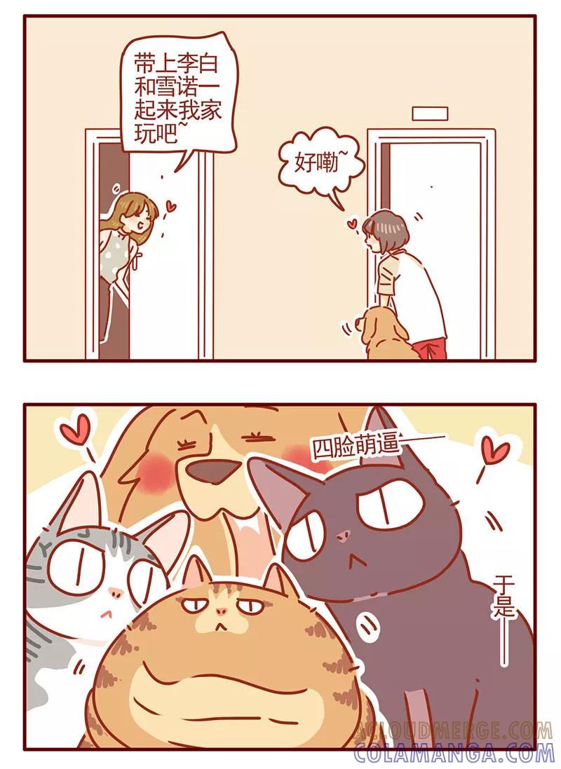 我只是一只小猫咪 第39话 第3页