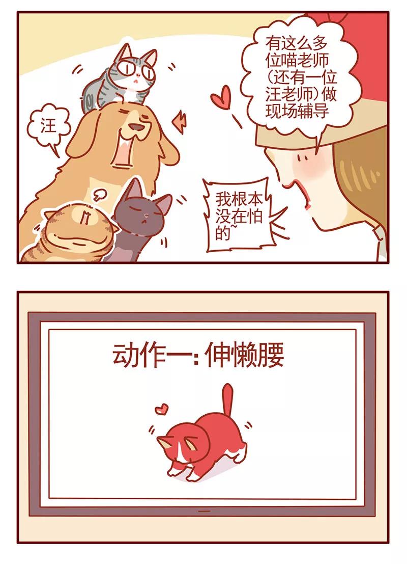 我只是一只小猫咪 第39话 第12页