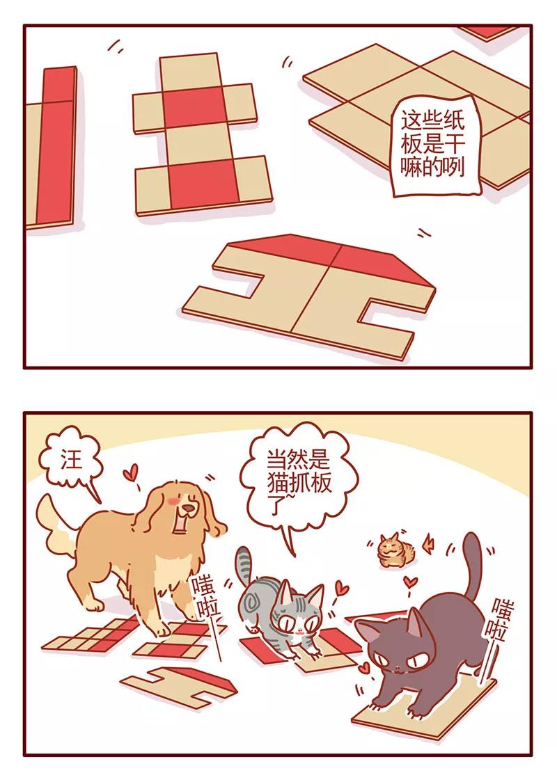 我只是一只小猫咪 第39话 第4页