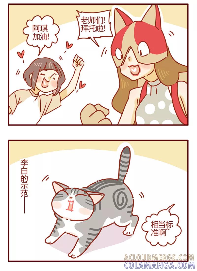 我只是一只小猫咪 第39话 第13页