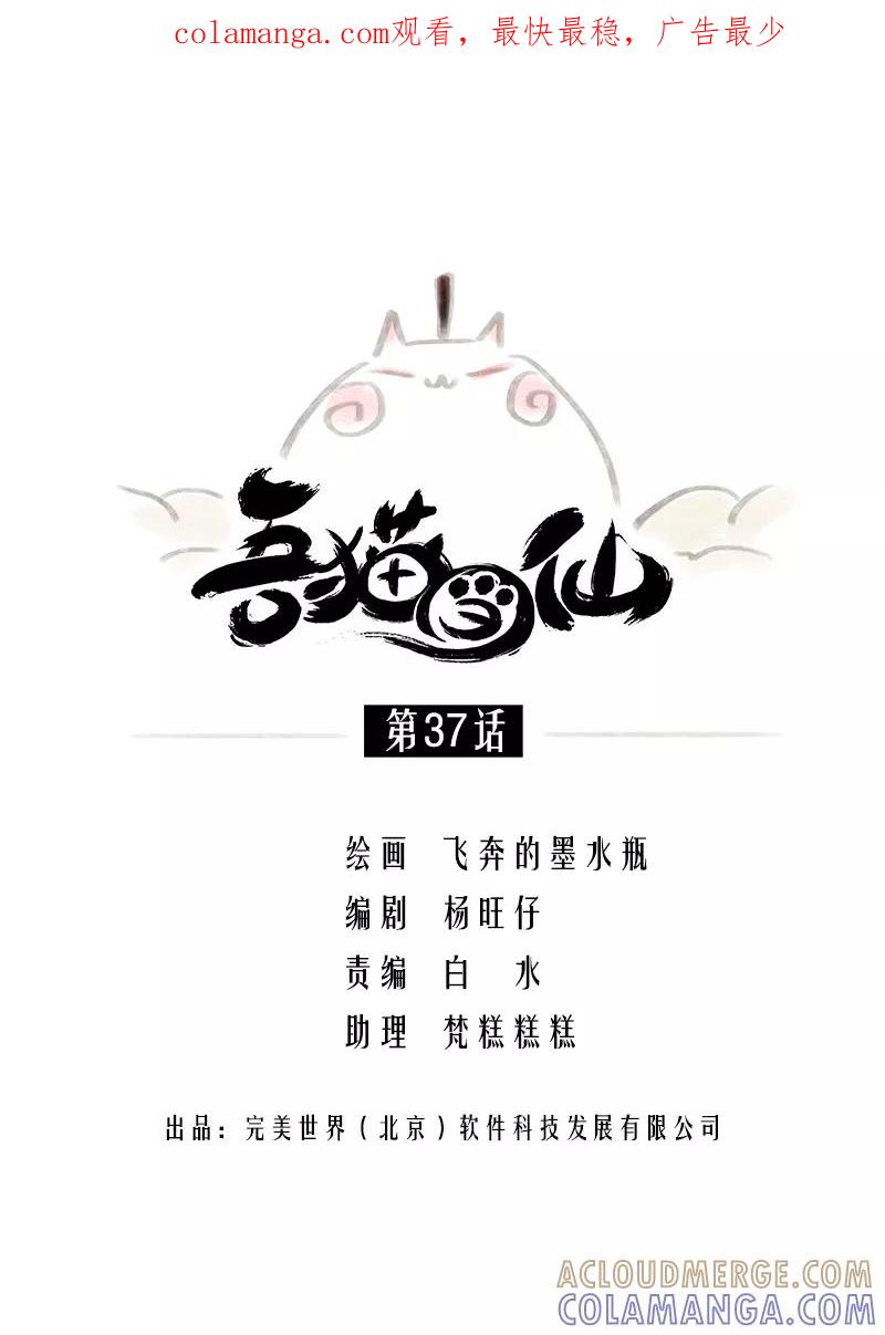 《吾猫当仙》第37话 第1页