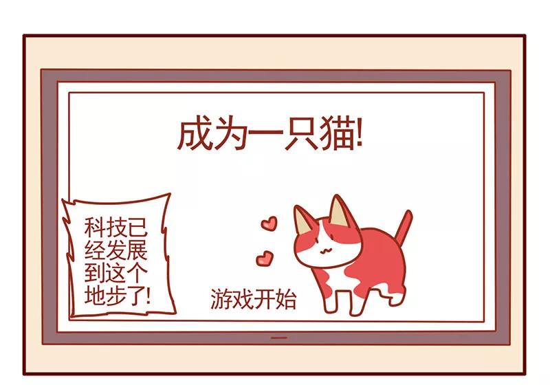 我只是一只小猫咪 第39话 第10页