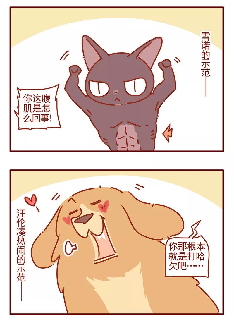 我只是一只小猫咪 第39话 第14页