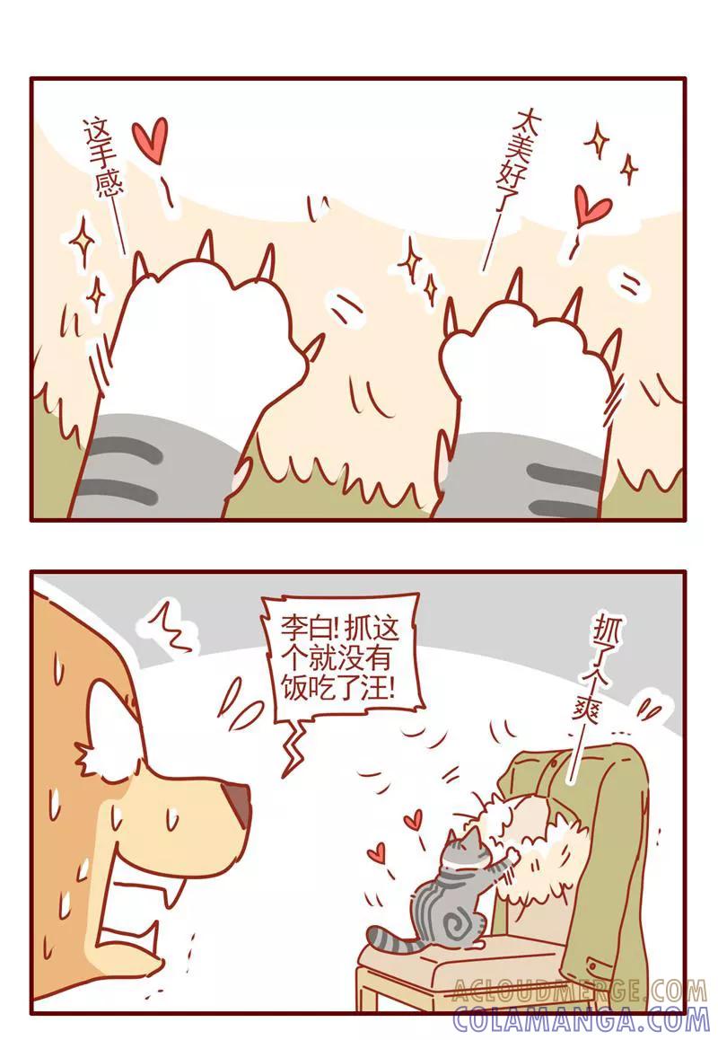 我只是一只小猫咪 第4话 第5页
