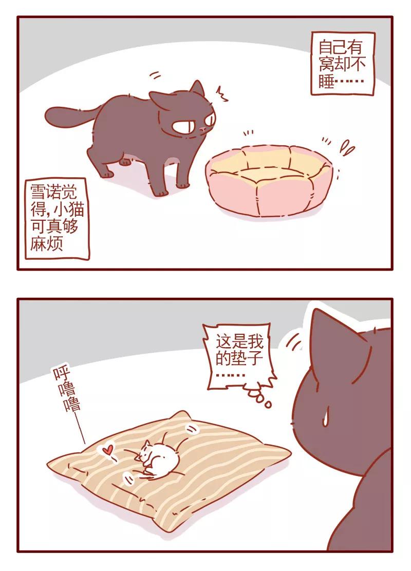 我只是一只小猫咪 第4话 第14页