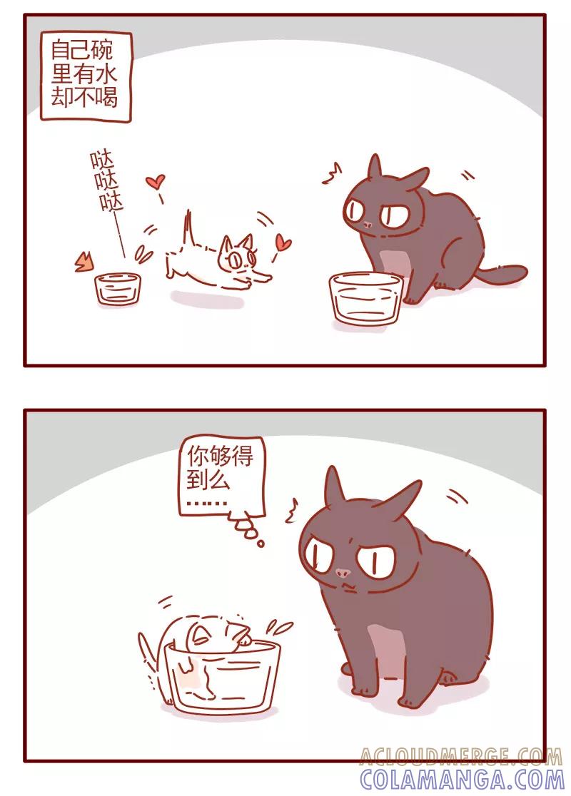 我只是一只小猫咪 第4话 第15页