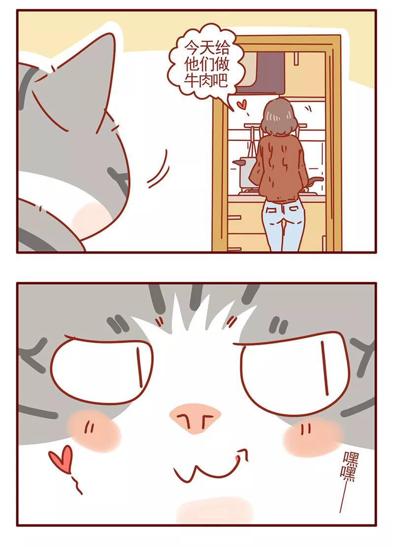 我只是一只小猫咪 第4话 第4页
