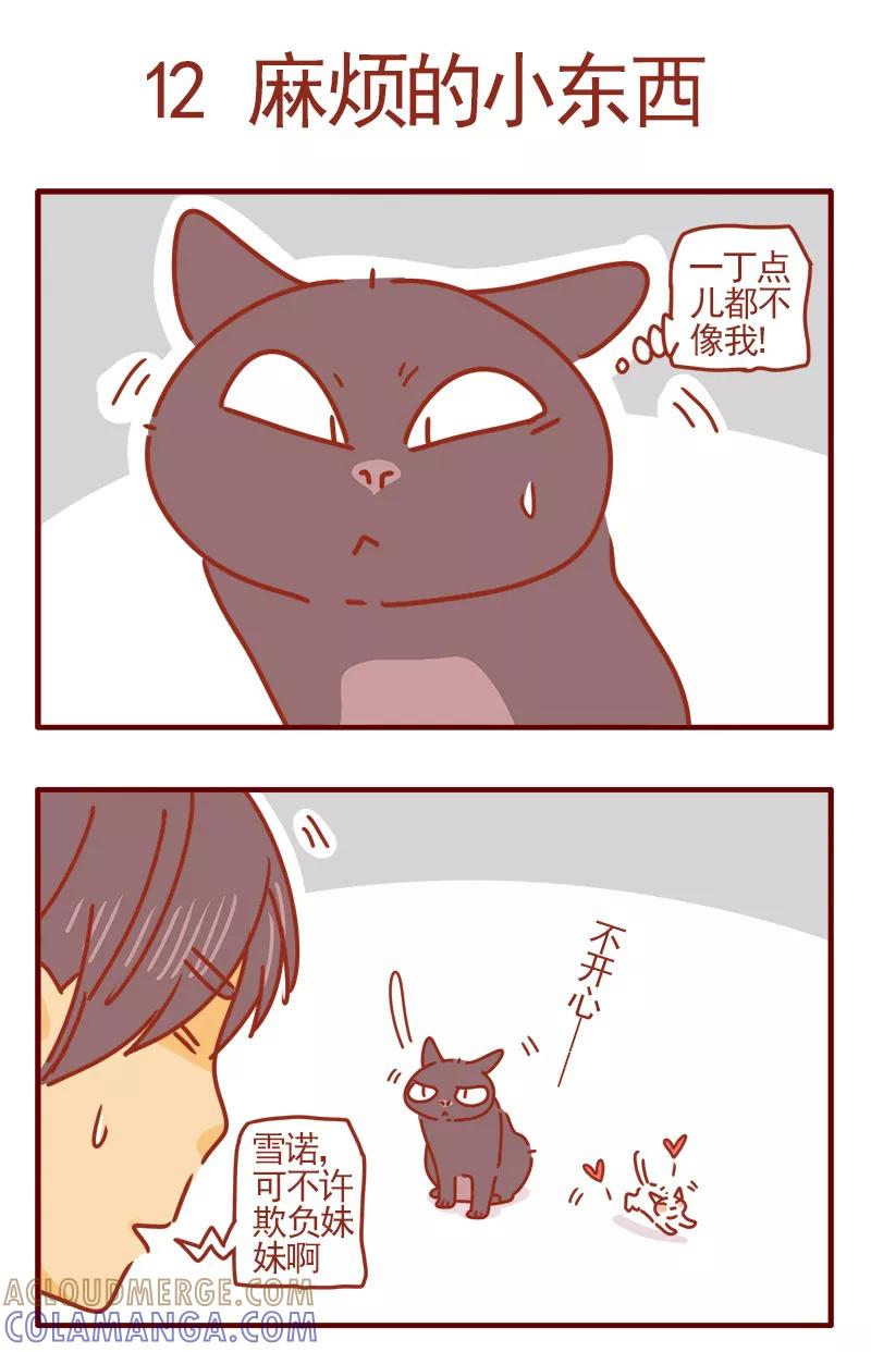 我只是一只小猫咪 第4话 第13页