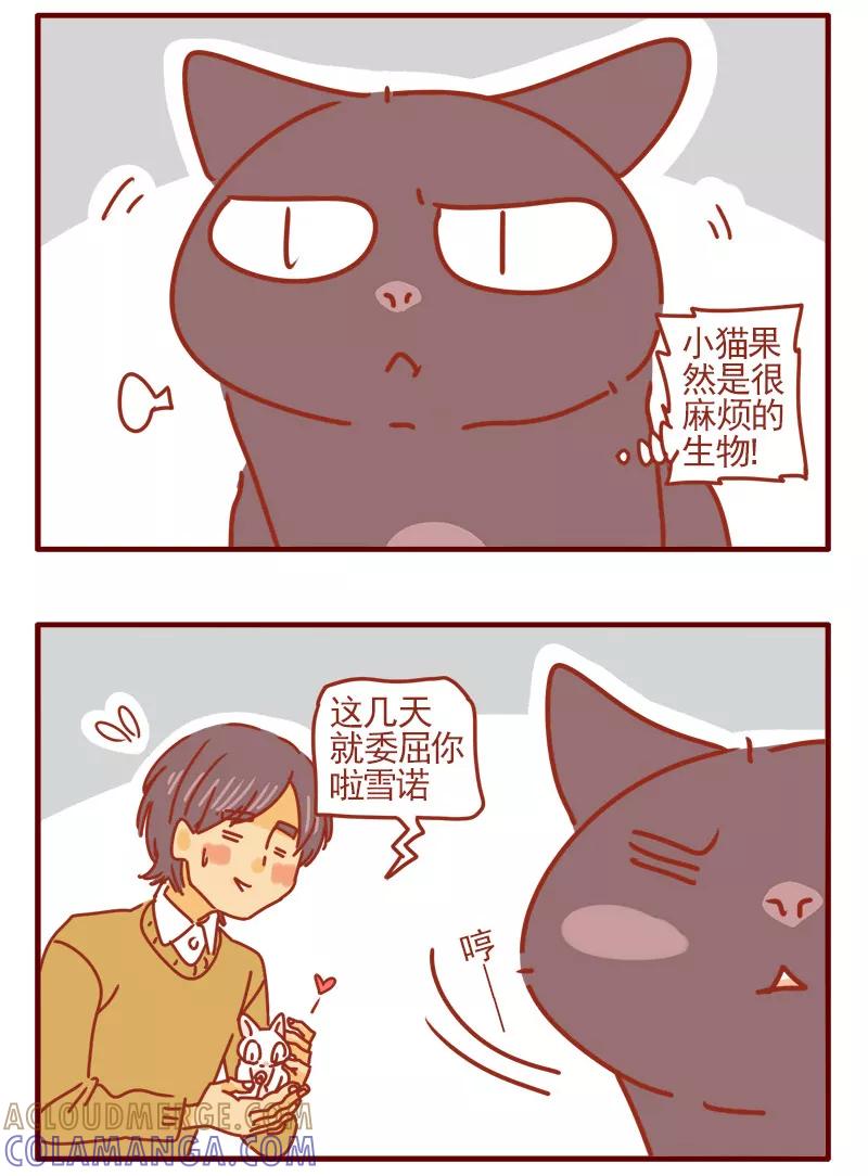 我只是一只小猫咪 第4话 第17页