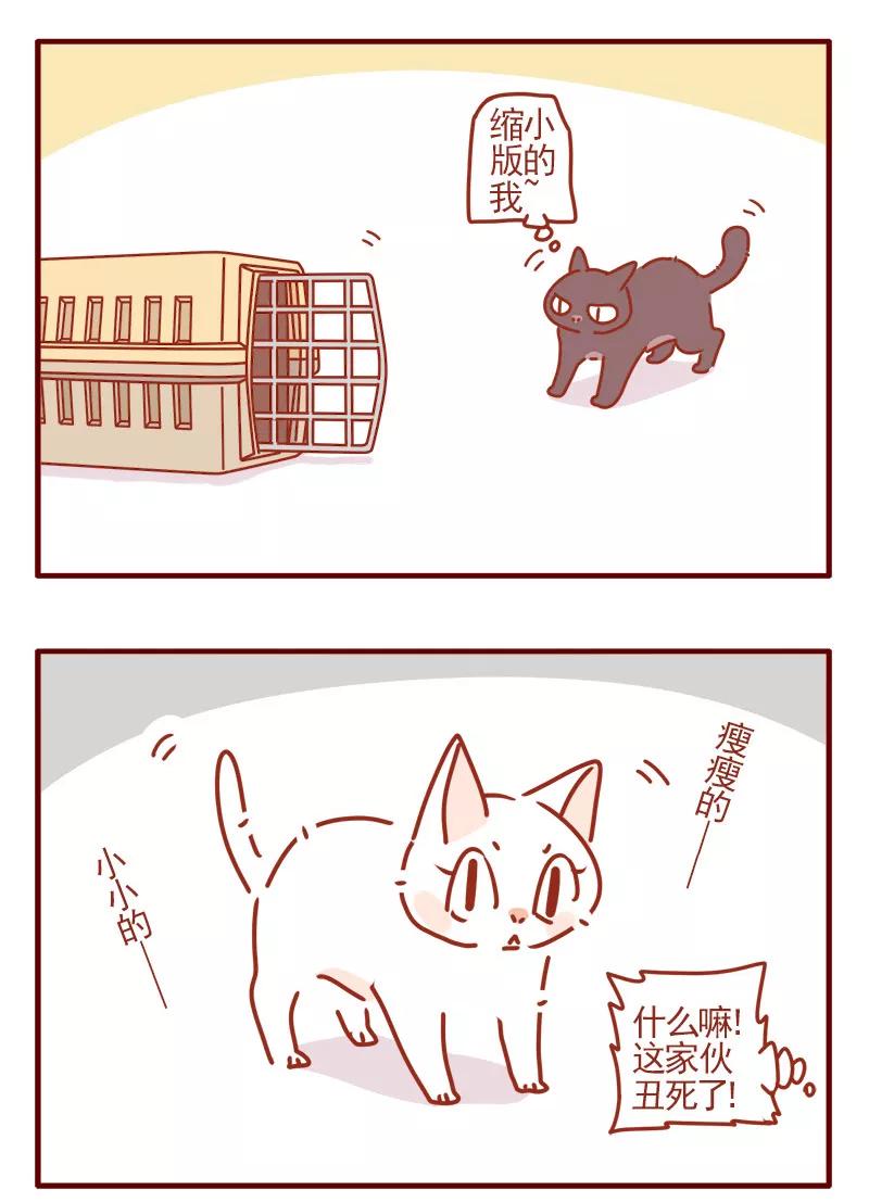 我只是一只小猫咪 第4话 第12页