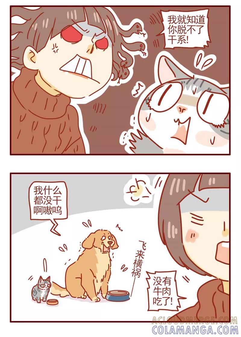 我只是一只小猫咪 第4话 第7页