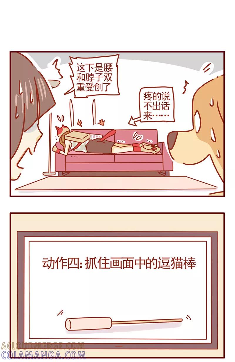 我只是一只小猫咪 第40话 第11页