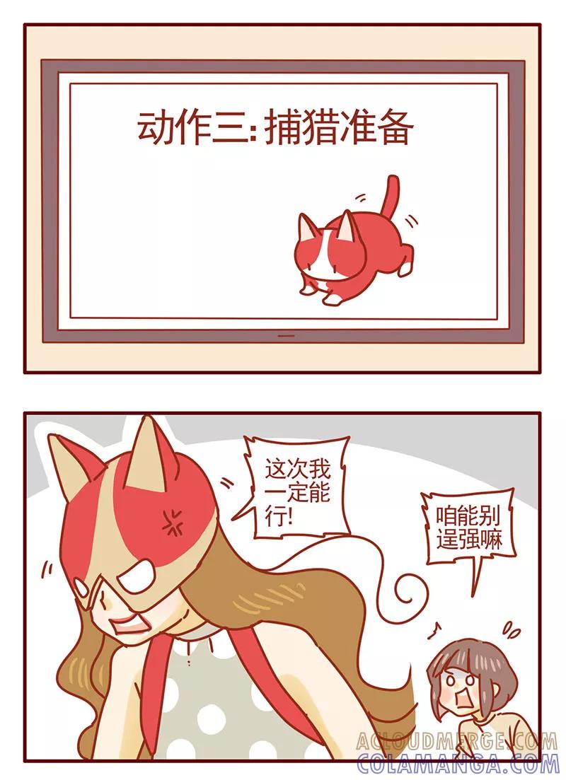 我只是一只小猫咪 第40话 第7页